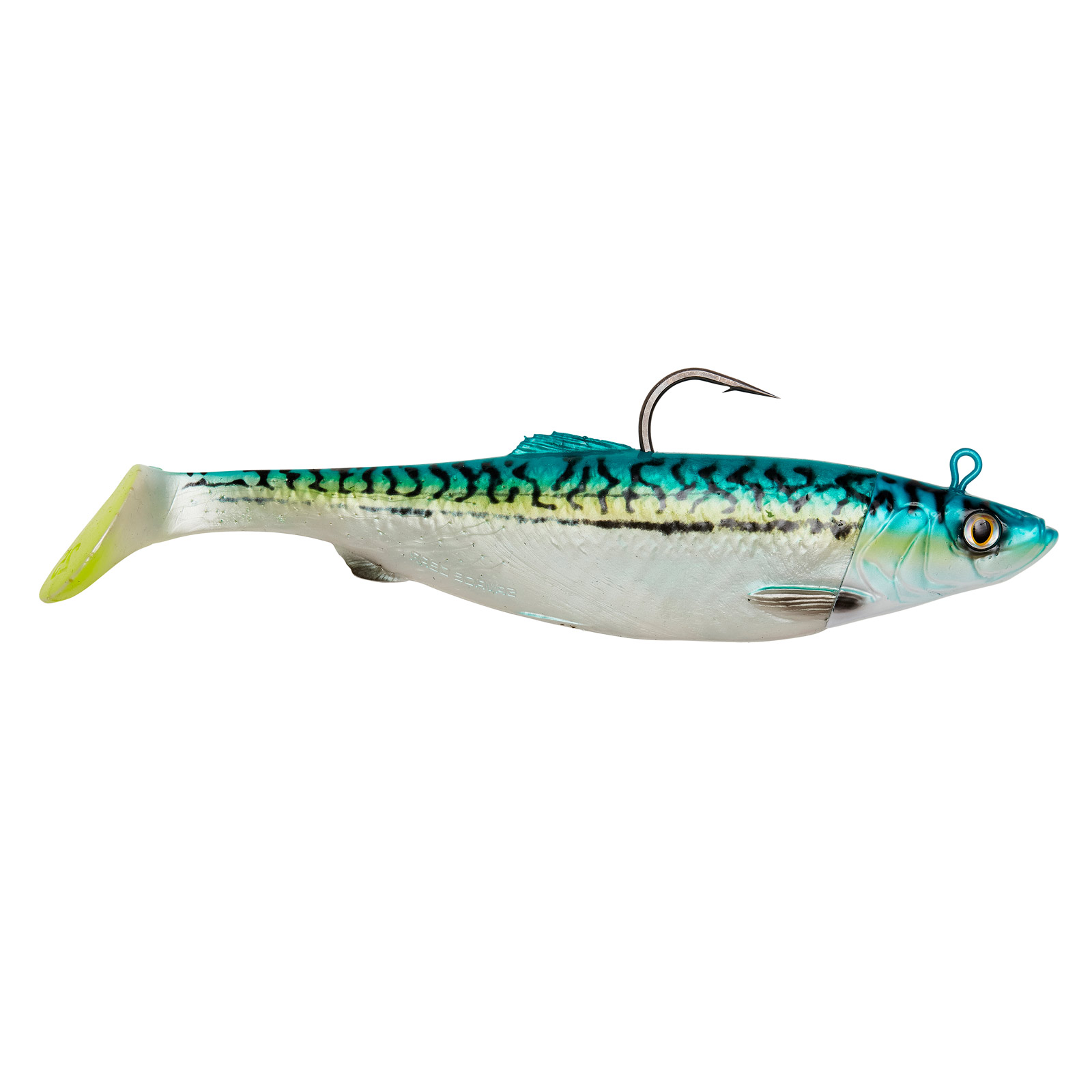 Green Mackerel