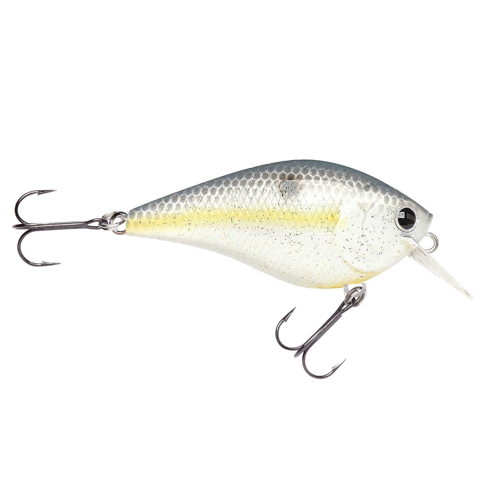 Chartreuse Shad