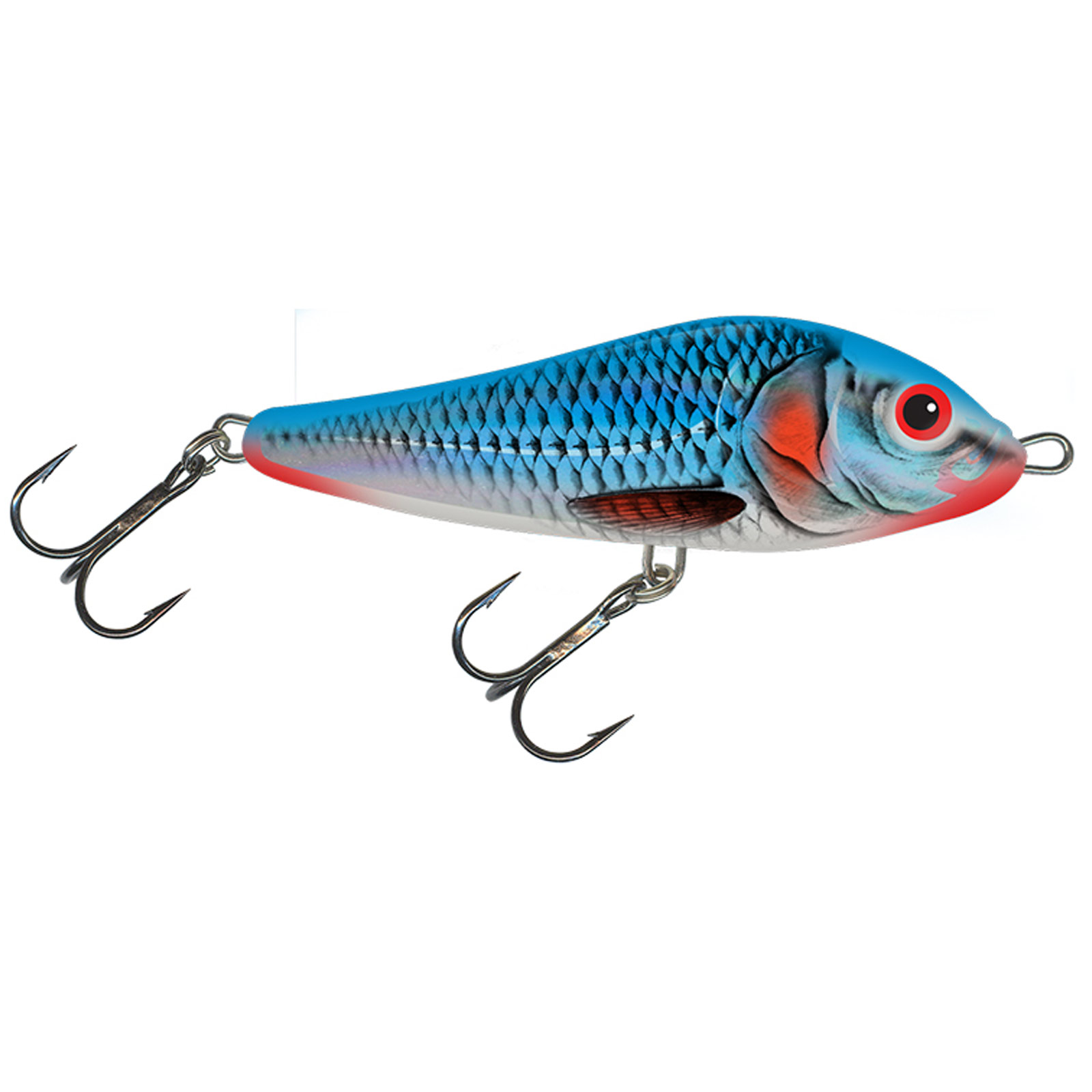 Bleeding Blue Shad