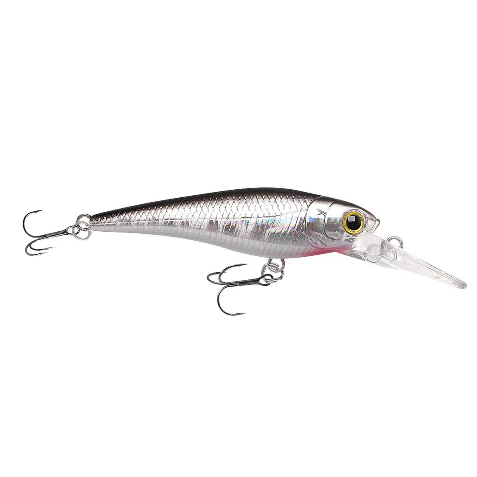 Bait Fish Silver