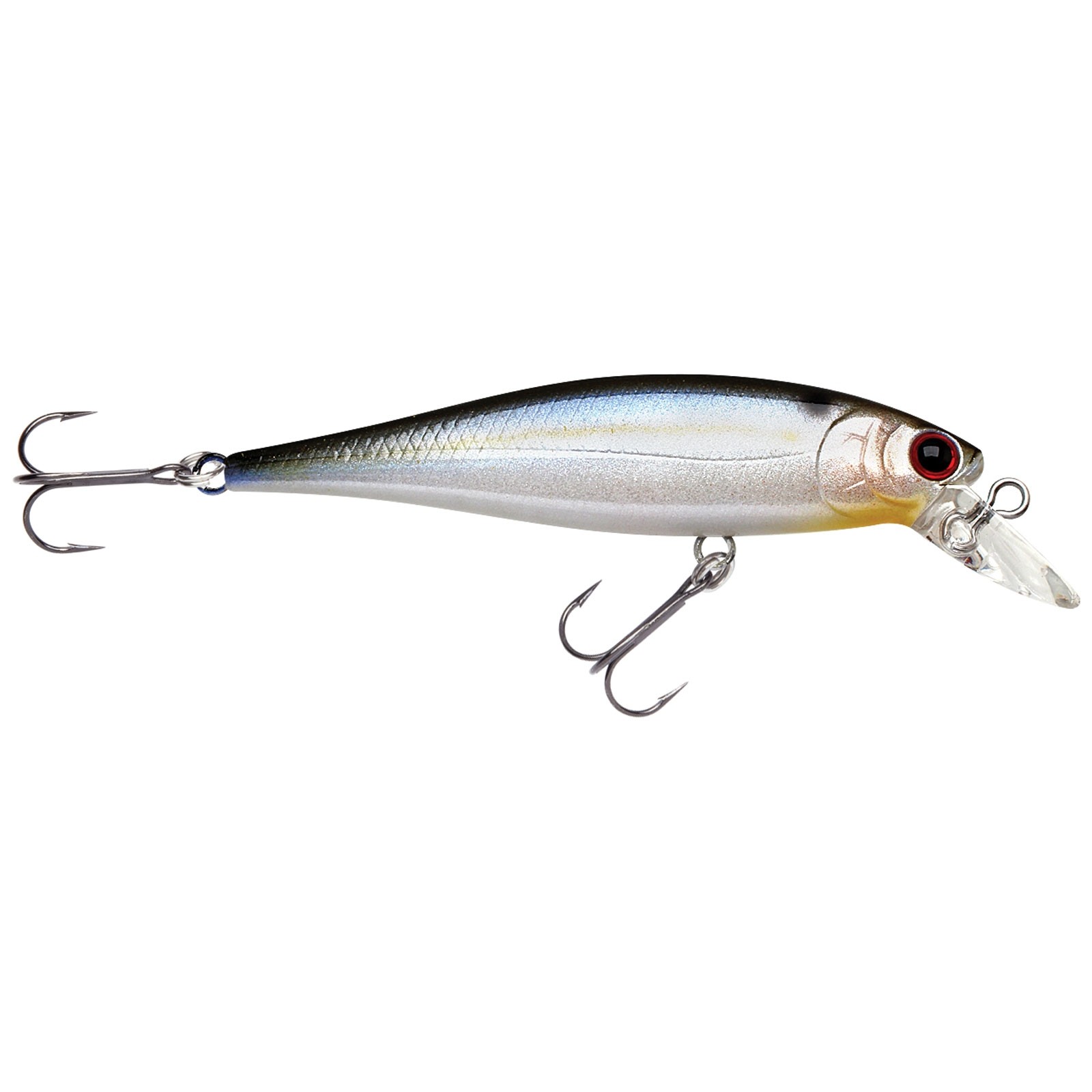 Pearl Threadfin Shad