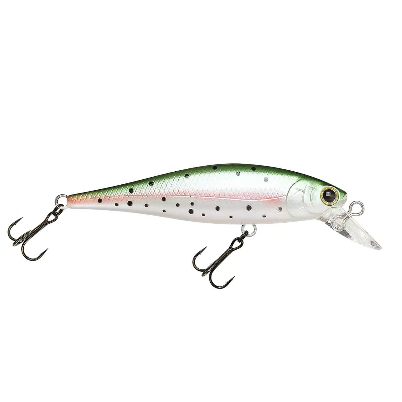 Lucky Craft Pointer Rainbow Trout Japan Wobbler